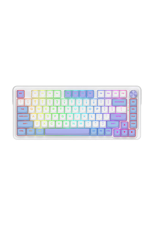 ELECTRONIC REBELLION - K673WBP-RGB-MAX 75% gasket KB-White/Purple - white-purple