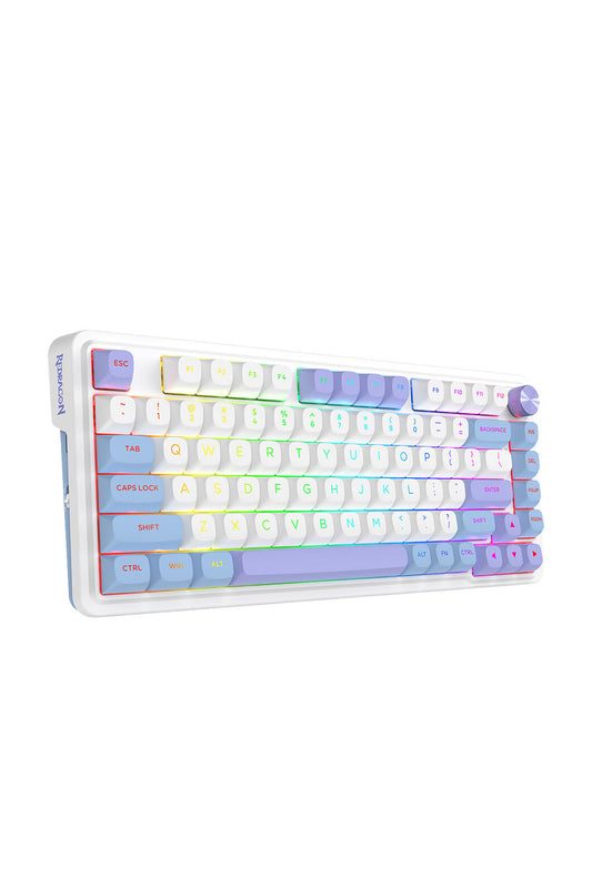ELECTRONIC REBELLION - K673WBP-RGB-MAX 75% gasket KB-White/Purple - white-purple
