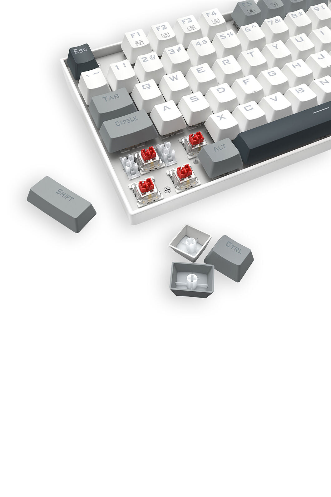 REDRAGON - Redragon K552WGL-RGB Kumara Wired Wired Mechanical Keyboard-White/Grey - white-grey